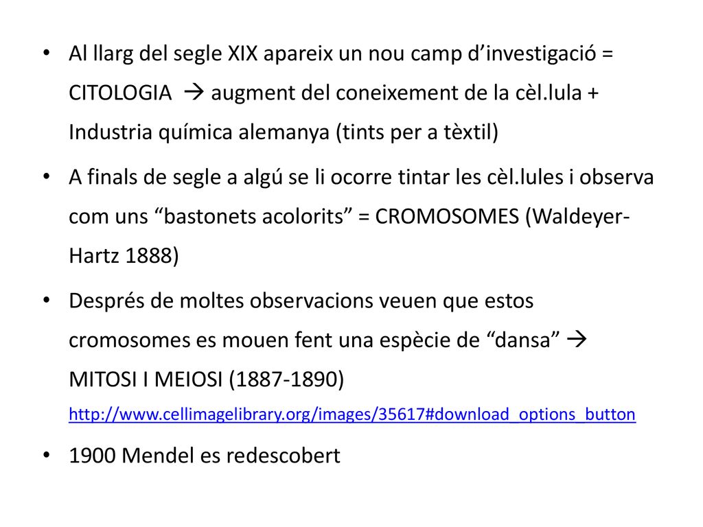 Al llarg del segle XIX apareix un nou camp d’investigació = CITOLOGIA  augment del coneixement de la cèl.lula + Industria química alemanya (tints per a tèxtil)
