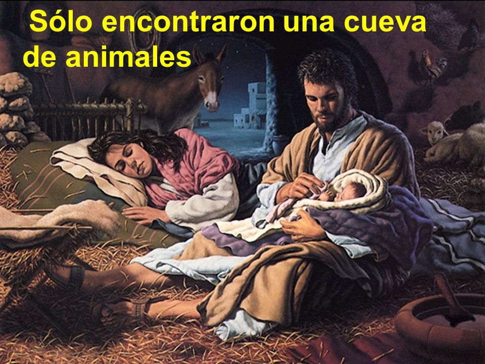 Sólo encontraron una cueva