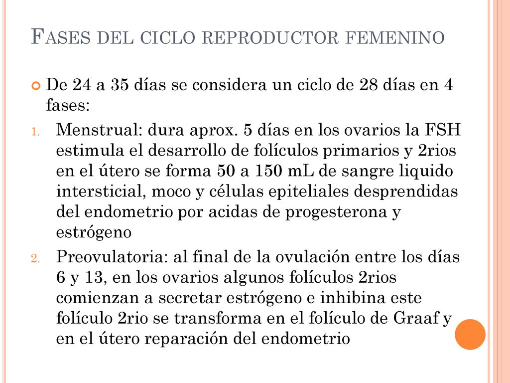 Fases del ciclo reproductor femenino