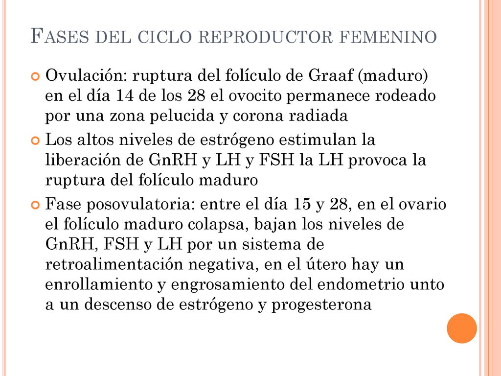 Fases del ciclo reproductor femenino
