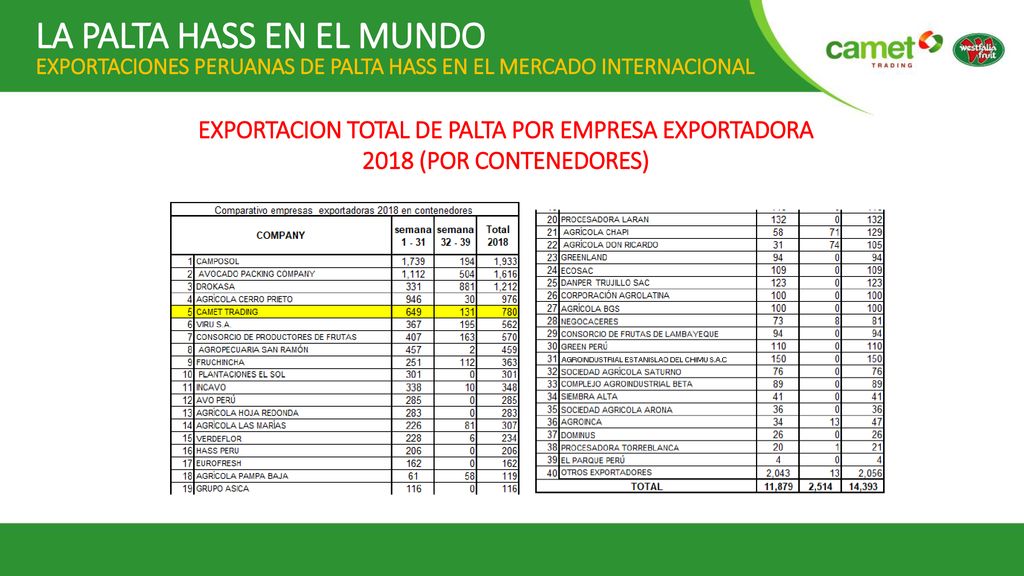 LA PALTA HASS EN EL MUNDO EXPORTACIONES PERUANAS DE PALTA HASS EN EL MERCADO INTERNACIONAL