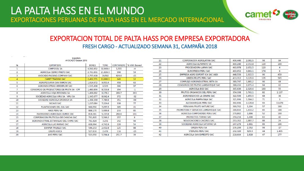 LA PALTA HASS EN EL MUNDO EXPORTACIONES PERUANAS DE PALTA HASS EN EL MERCADO INTERNACIONAL
