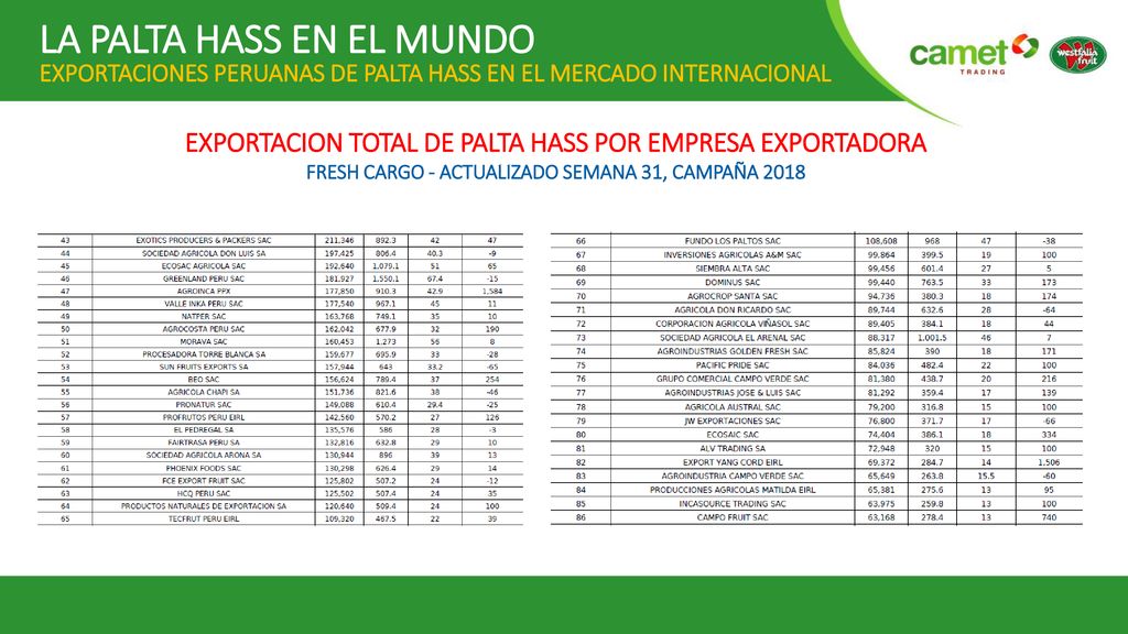 LA PALTA HASS EN EL MUNDO EXPORTACIONES PERUANAS DE PALTA HASS EN EL MERCADO INTERNACIONAL