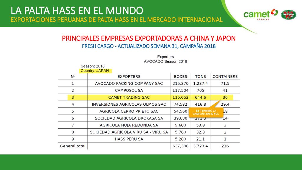 LA PALTA HASS EN EL MUNDO EXPORTACIONES PERUANAS DE PALTA HASS EN EL MERCADO INTERNACIONAL