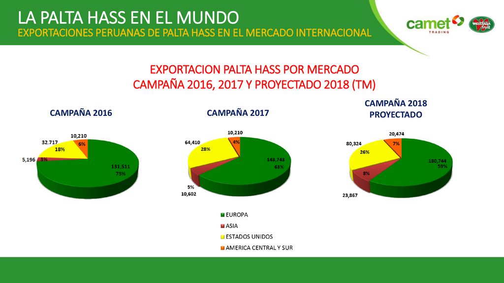LA PALTA HASS EN EL MUNDO EXPORTACIONES PERUANAS DE PALTA HASS EN EL MERCADO INTERNACIONAL