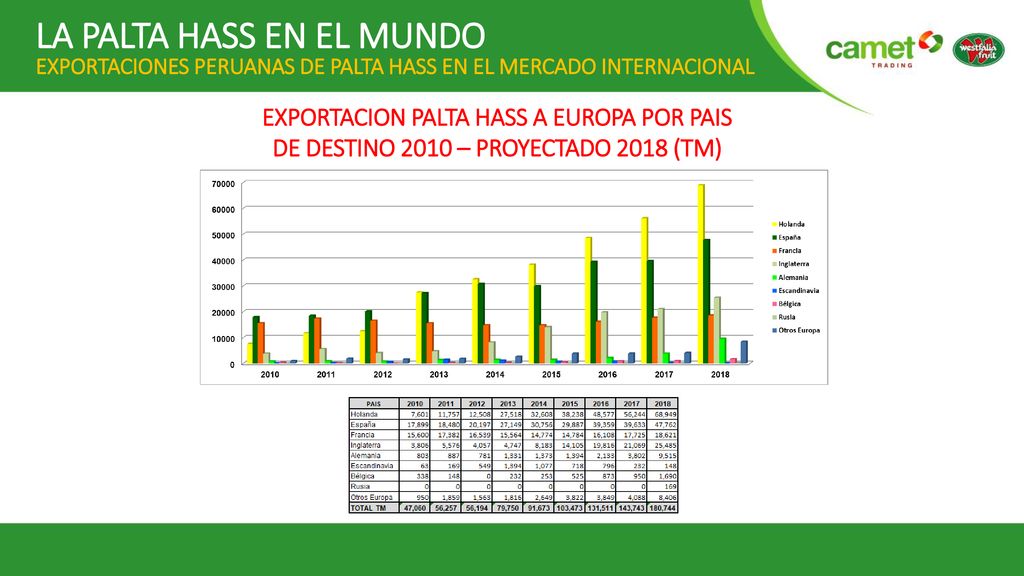 LA PALTA HASS EN EL MUNDO EXPORTACIONES PERUANAS DE PALTA HASS EN EL MERCADO INTERNACIONAL