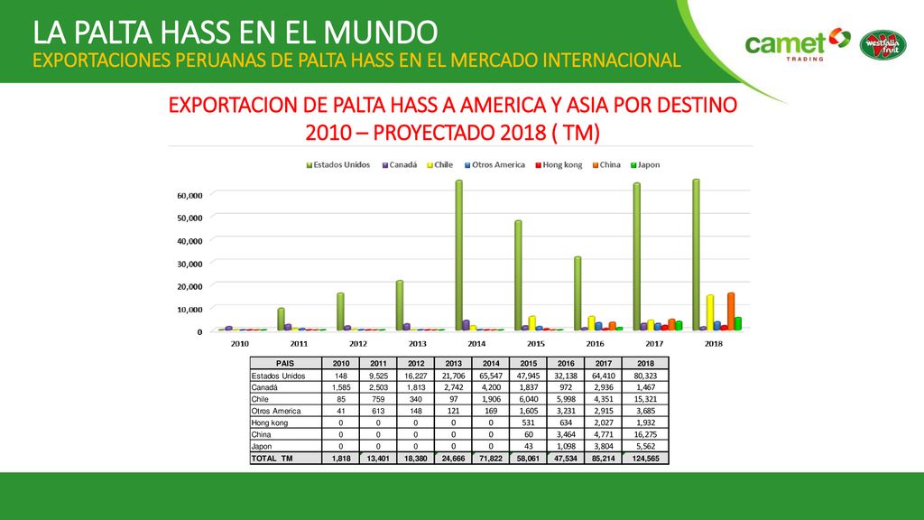 EXPORTACION DE PALTA HASS A AMERICA Y ASIA POR DESTINO