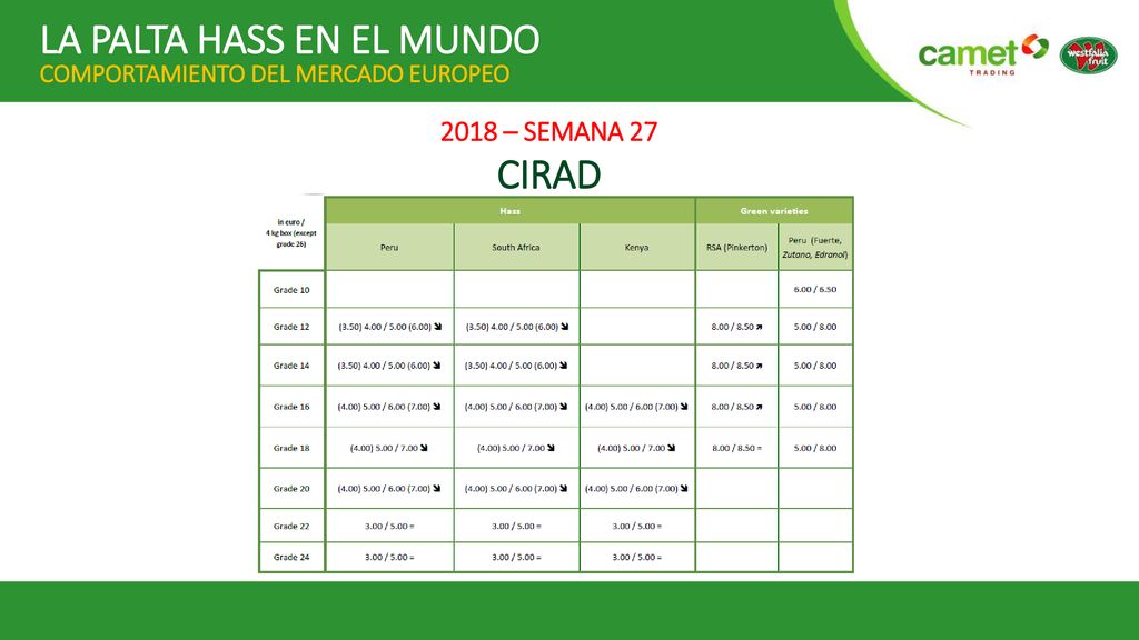 LA PALTA HASS EN EL MUNDO COMPORTAMIENTO DEL MERCADO EUROPEO