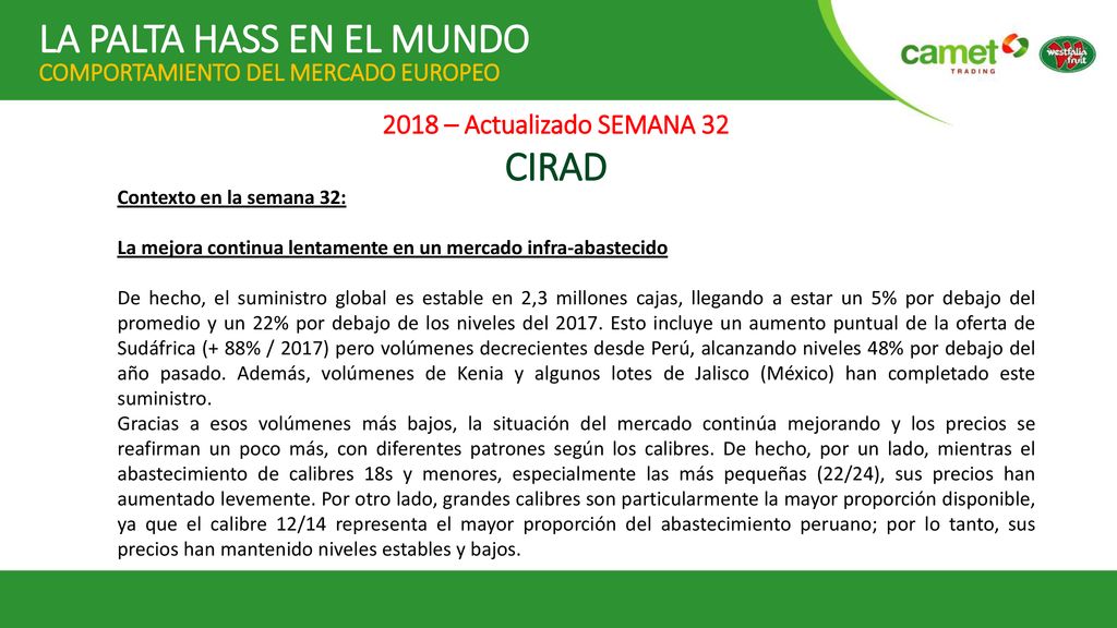 LA PALTA HASS EN EL MUNDO COMPORTAMIENTO DEL MERCADO EUROPEO