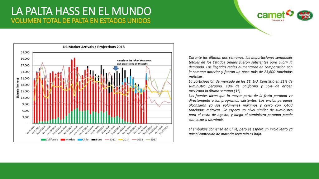 LA PALTA HASS EN EL MUNDO VOLUMEN TOTAL DE PALTA EN ESTADOS UNIDOS