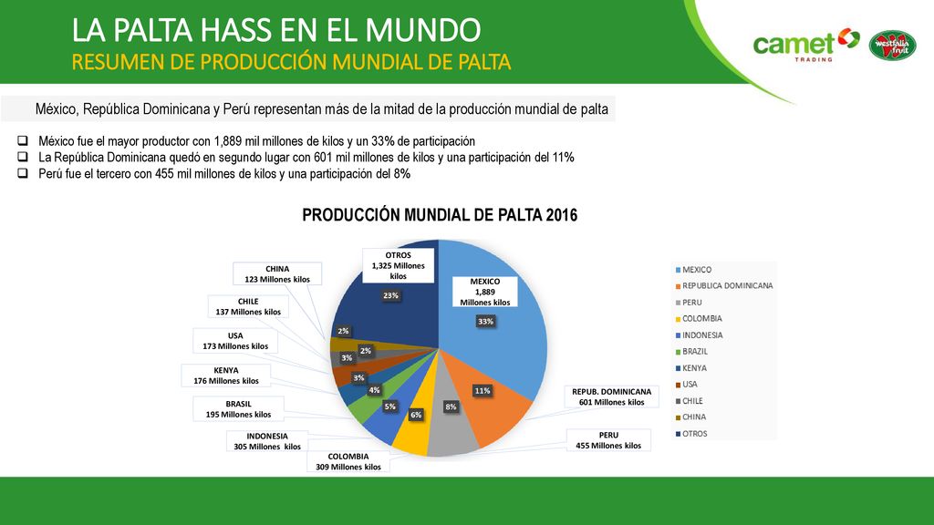 LA PALTA HASS EN EL MUNDO RESUMEN DE PRODUCCIÓN MUNDIAL DE PALTA