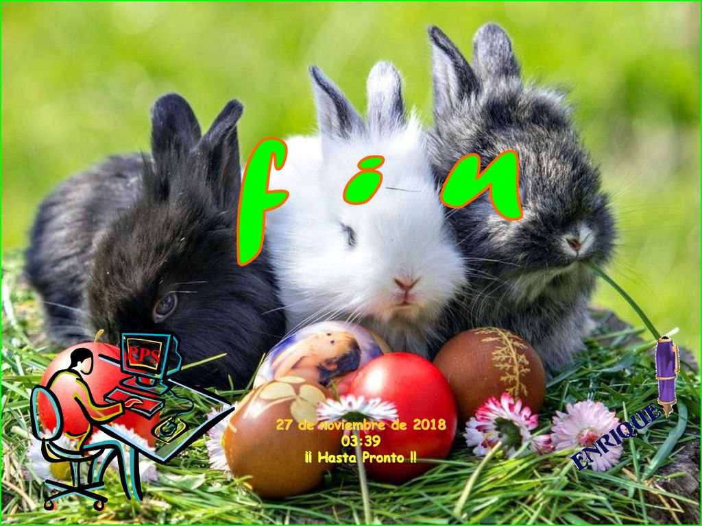 f i n PPS 27 de noviembre de :39 ¡¡ Hasta Pronto !!