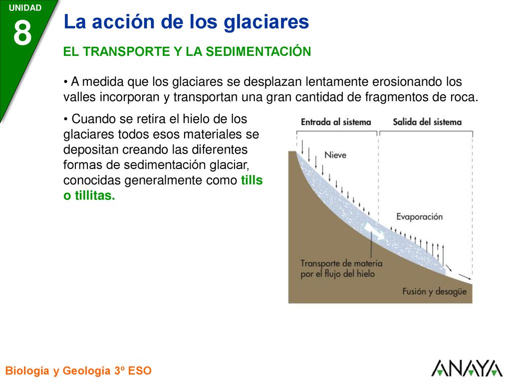 8 La acción de los glaciares EL TRANSPORTE Y LA SEDIMENTACIÓN