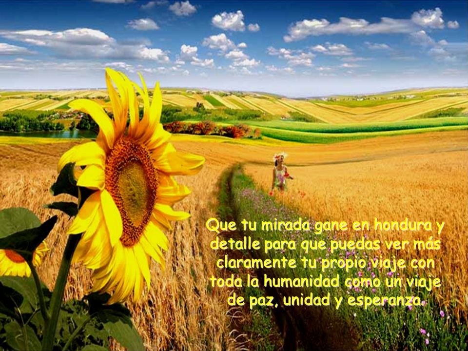 Que tu mirada gane en hondura y detalle para que puedas ver más claramente tu propio viaje con toda la humanidad como un viaje de paz, unidad y esperanza.