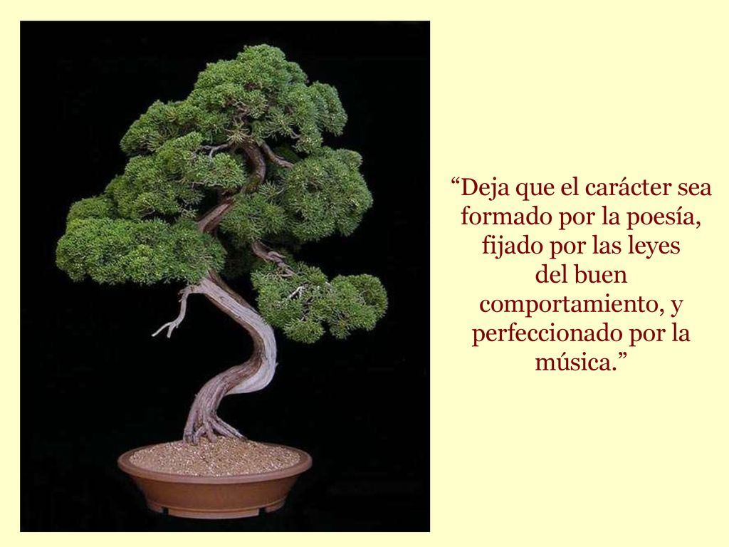 Deja que el carácter sea formado por la poesía, fijado por las leyes del buen comportamiento, y perfeccionado por la música.