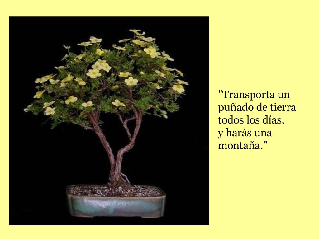 Transporta un puñado de tierra todos los días, y harás una montaña.