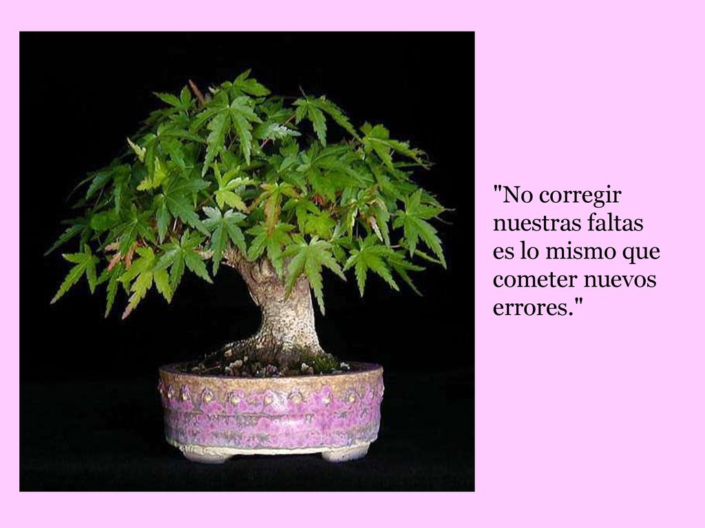 No corregir nuestras faltas es lo mismo que cometer nuevos errores.