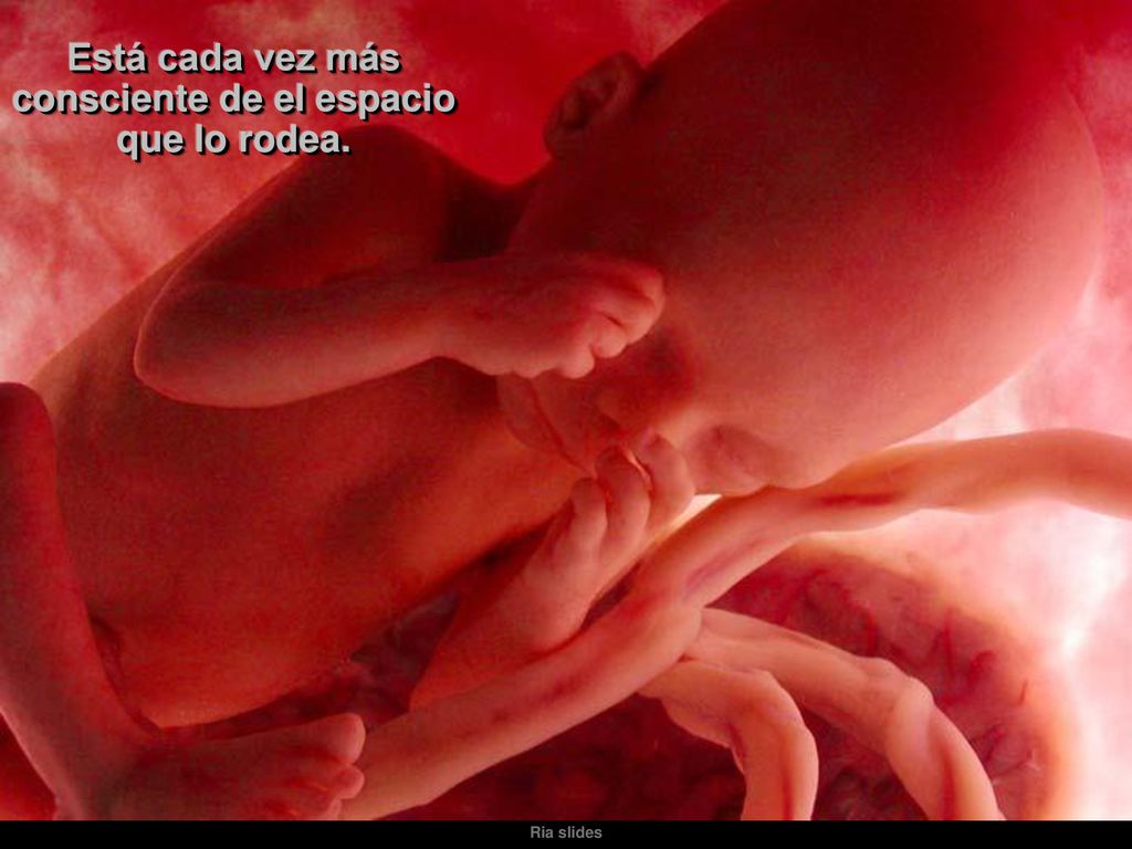 Está cada vez más consciente de el espacio que lo rodea.