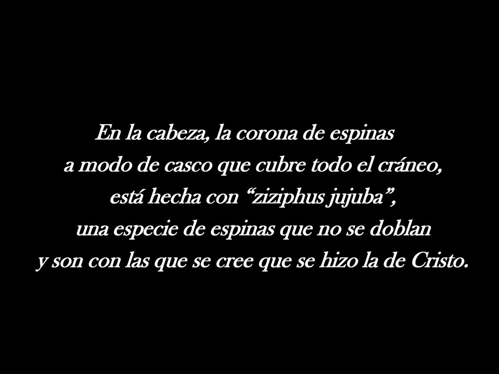 En la cabeza, la corona de espinas a modo de casco que cubre todo el cráneo, está hecha con ziziphus jujuba , una especie de espinas que no se doblan y son con las que se cree que se hizo la de Cristo.