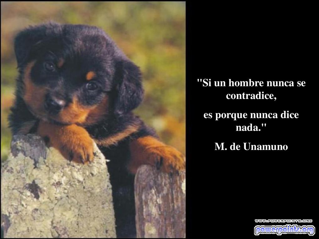 Si un hombre nunca se contradice, es porque nunca dice nada.
