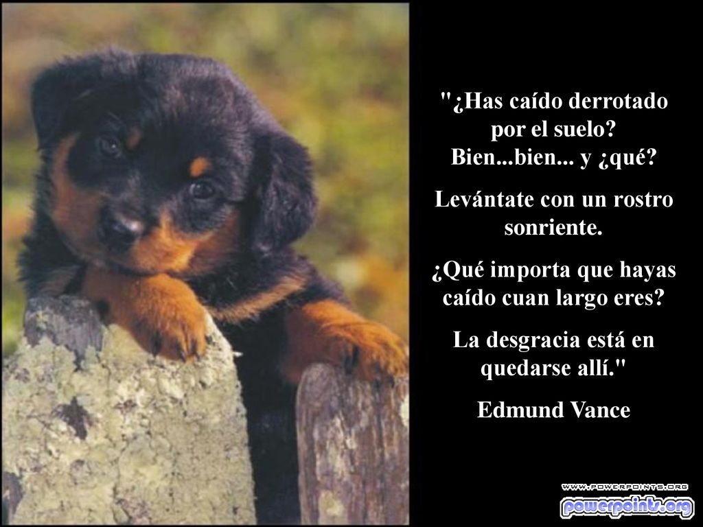 ¿Has caído derrotado por el suelo Bien...bien... y ¿qué