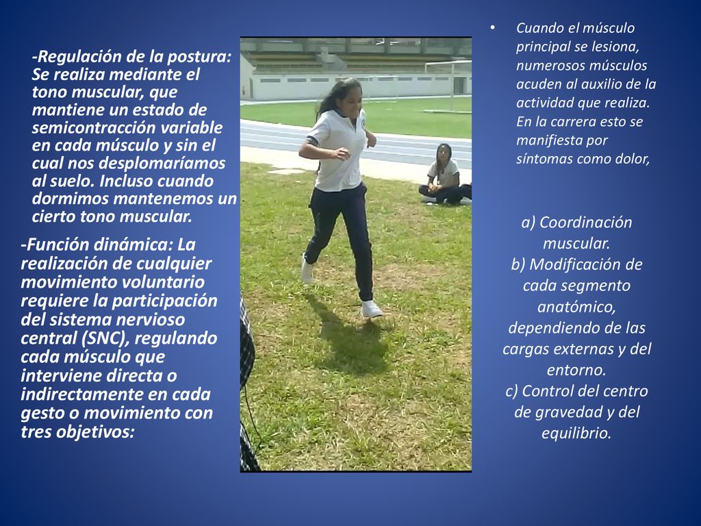 Cuando el músculo principal se lesiona, numerosos músculos acuden al auxilio de la actividad que realiza. En la carrera esto se manifiesta por síntomas como dolor,