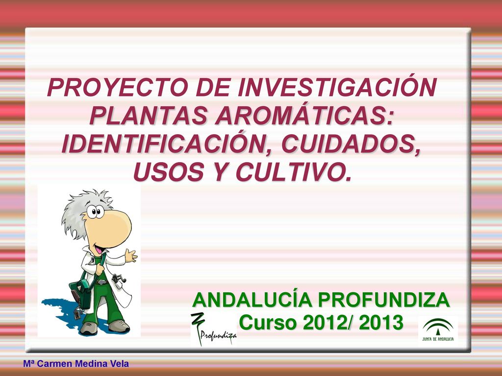 PROYECTO DE INVESTIGACIÓN PLANTAS AROMÁTICAS: IDENTIFICACIÓN, CUIDADOS, USOS Y CULTIVO.