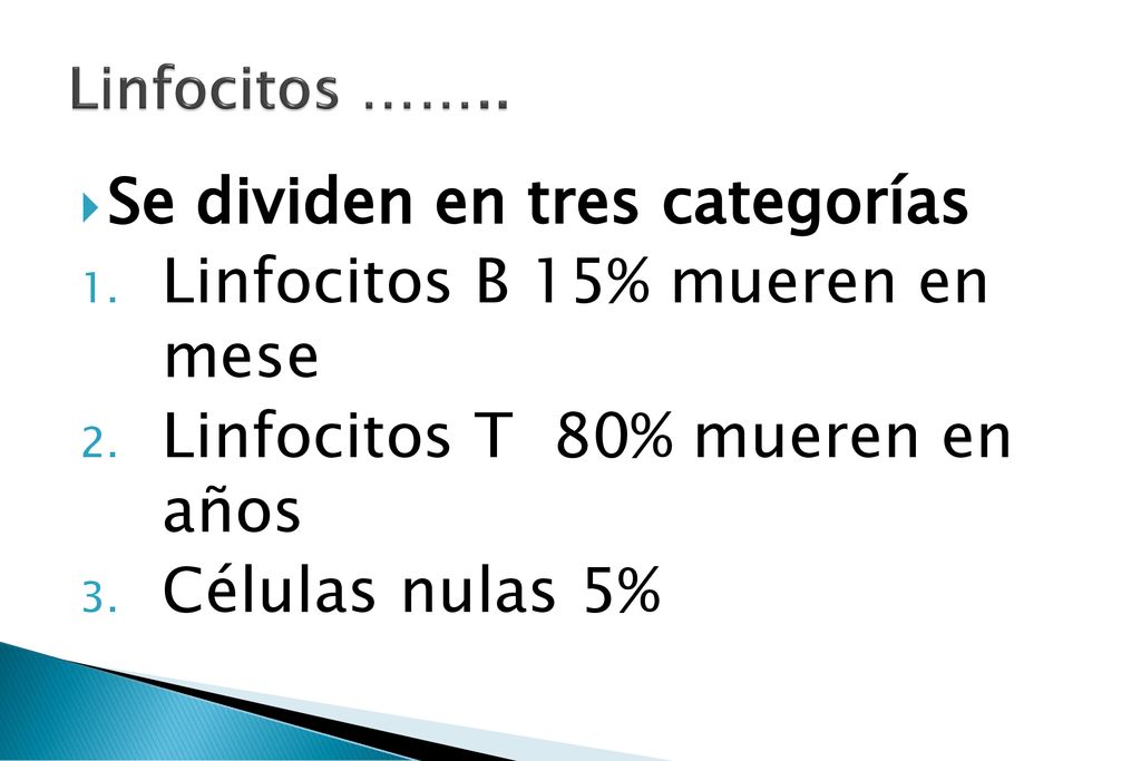 Se dividen en tres categorías Linfocitos B 15% mueren en mese
