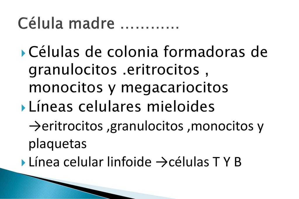 Célula madre ………… Células de colonia formadoras de granulocitos .eritrocitos , monocitos y megacariocitos.