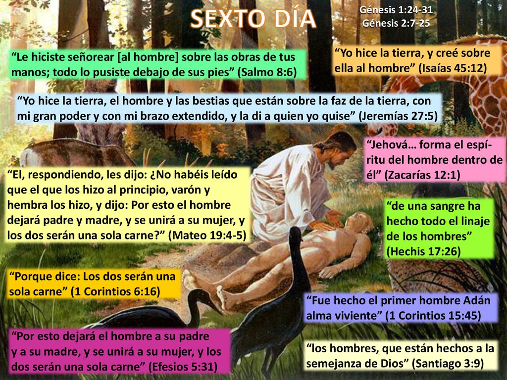 SEXTO DÍA Génesis 1: Génesis 2:7-25. Yo hice la tierra, y creé sobre ella al hombre (Isaías 45:12)
