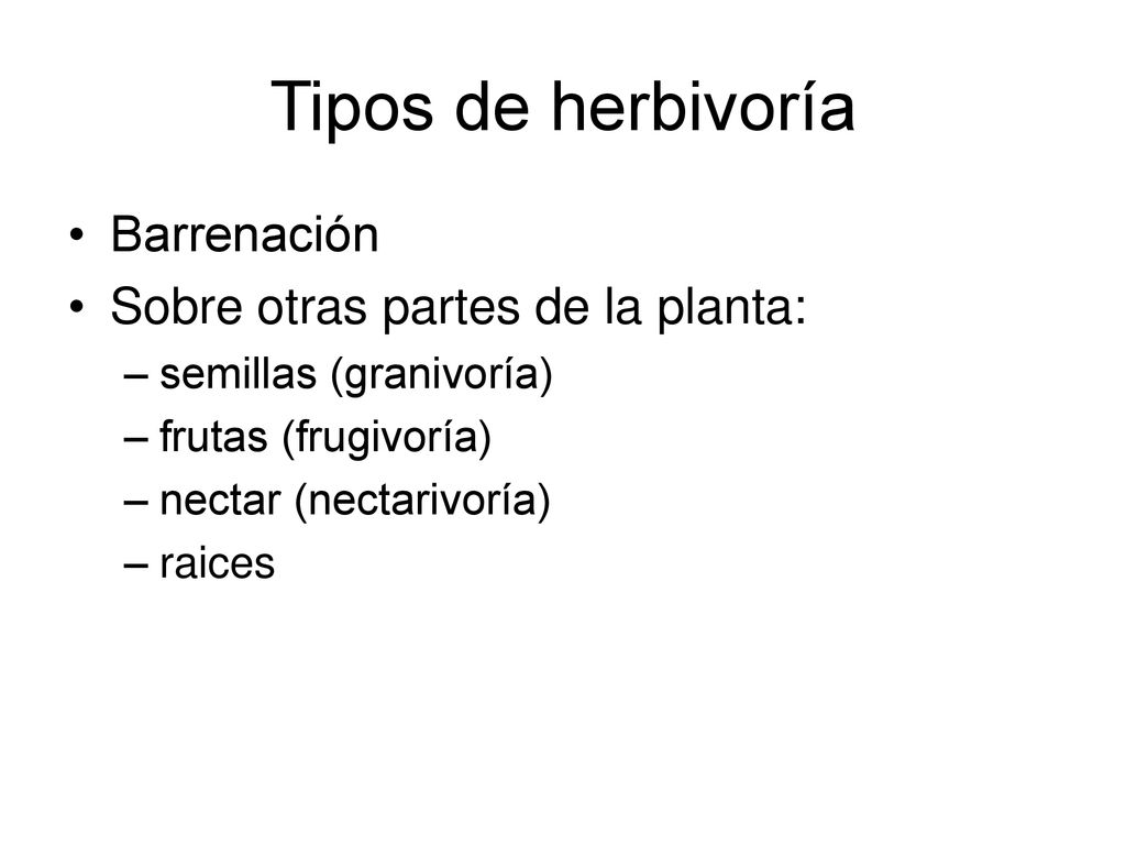 Tipos de herbivoría Barrenación Sobre otras partes de la planta: