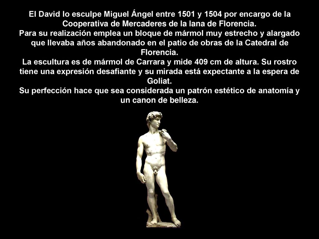 El David lo esculpe Miguel Ángel entre 1501 y 1504 por encargo de la Cooperativa de Mercaderes de la lana de Florencia.