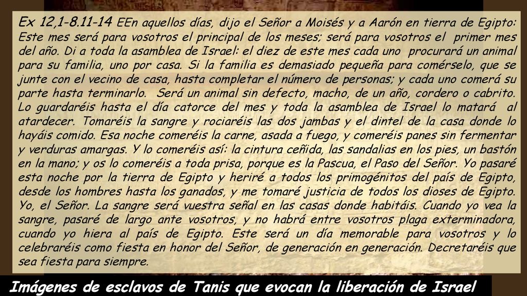 Imágenes de esclavos de Tanis que evocan la liberación de Israel
