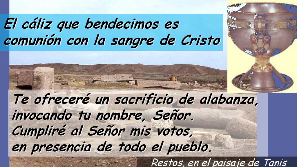 El cáliz que bendecimos es comunión con la sangre de Cristo