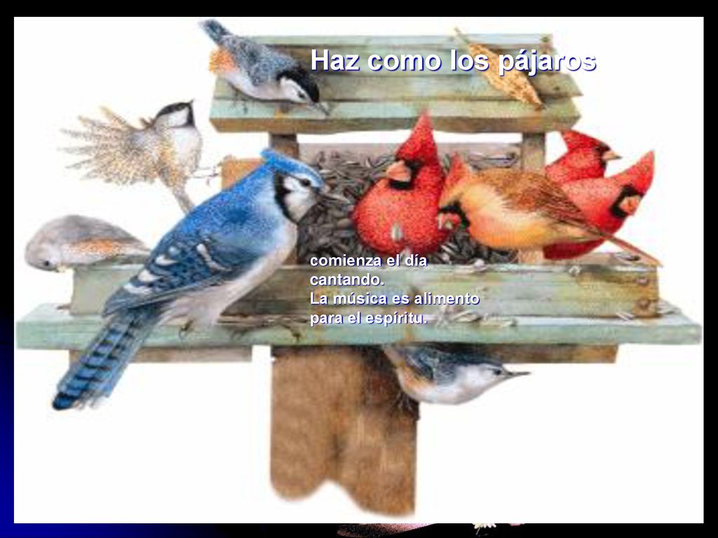 Haz como los pájaros comienza el día cantando. La música es alimento para el espíritu.