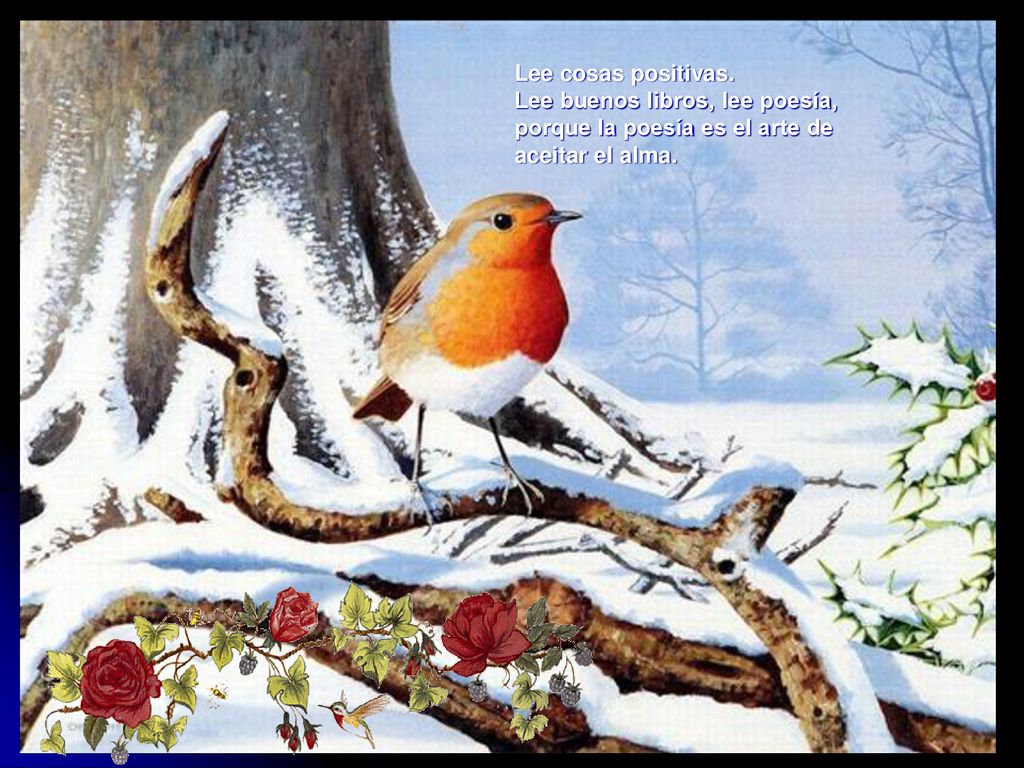 Lee cosas positivas. Lee buenos libros, lee poesía, porque la poesía es el arte de aceitar el alma.