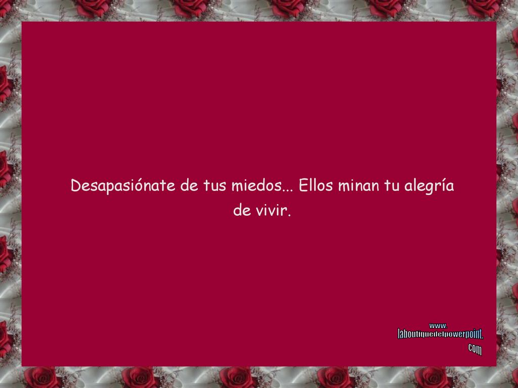 Desapasiónate de tus miedos... Ellos minan tu alegría de vivir.