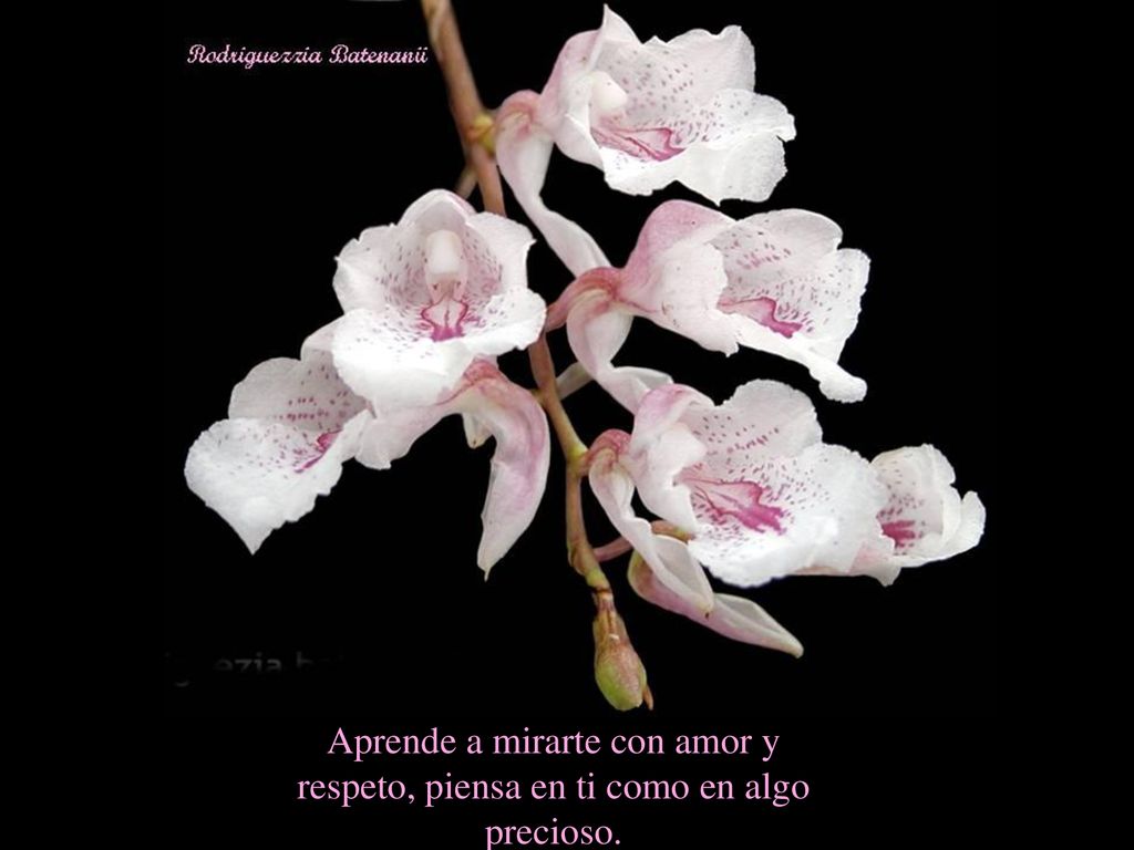 Aprende a mirarte con amor y respeto, piensa en ti como en algo precioso.