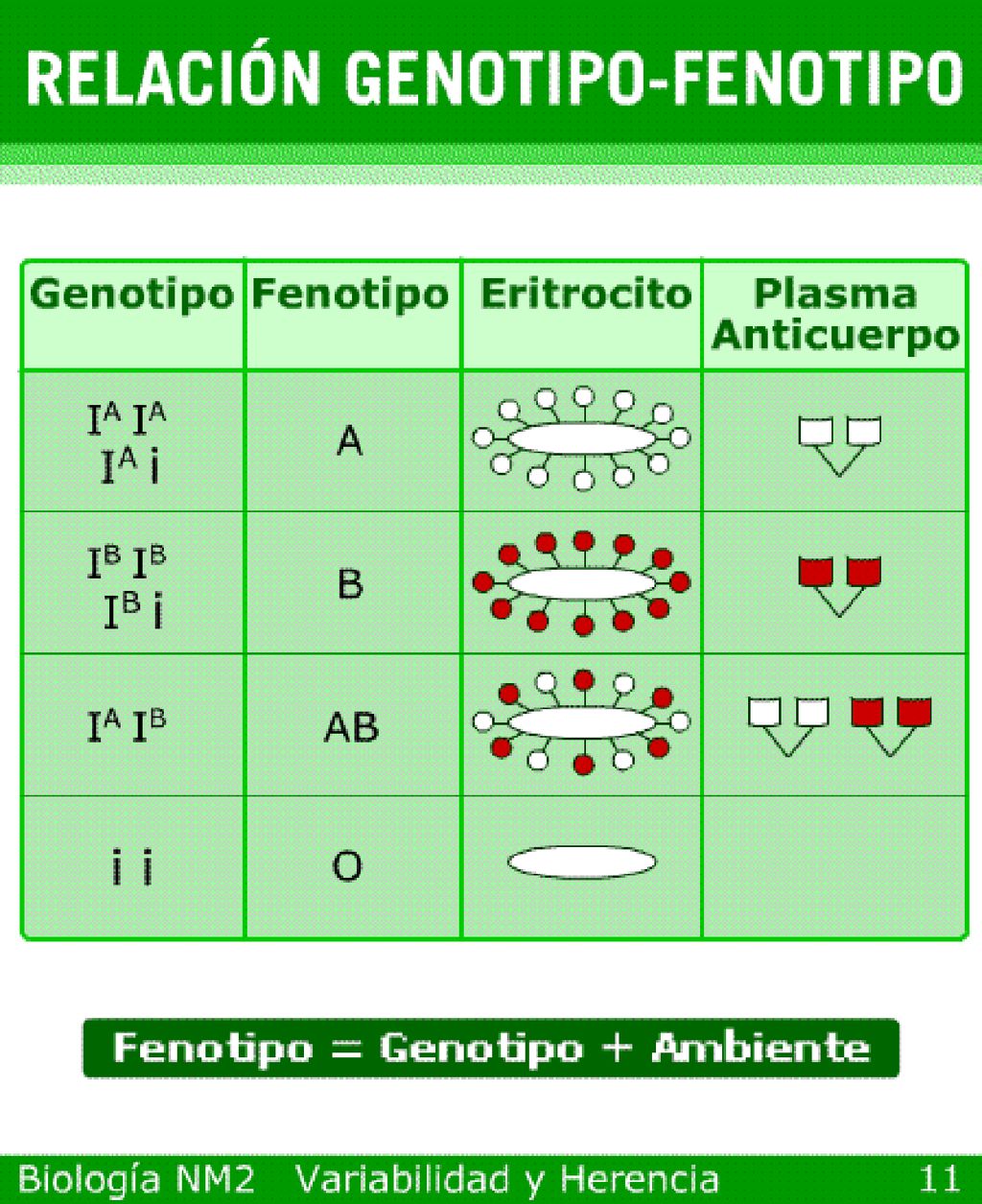 Este cuadro se refiere a los grupos sanguíneos y la presencia de antígenos y anticuerpos.