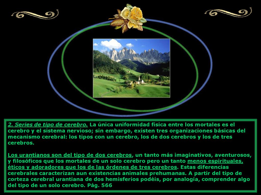 2. Series de tipo de cerebro