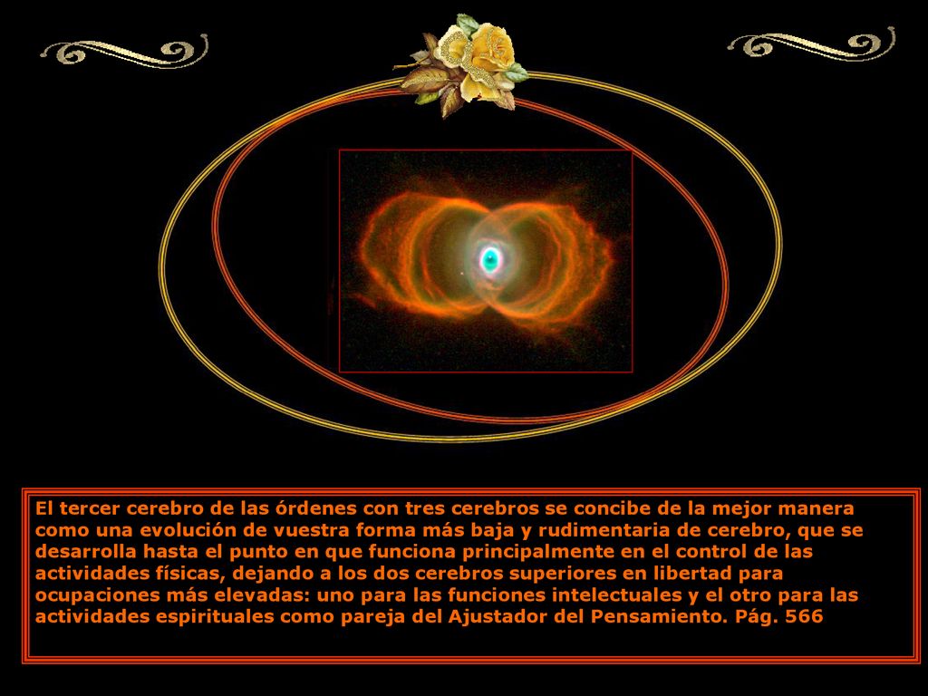 El tercer cerebro de las órdenes con tres cerebros se concibe de la mejor manera como una evolución de vuestra forma más baja y rudimentaria de cerebro, que se desarrolla hasta el punto en que funciona principalmente en el control de las actividades físicas, dejando a los dos cerebros superiores en libertad para ocupaciones más elevadas: uno para las funciones intelectuales y el otro para las actividades espirituales como pareja del Ajustador del Pensamiento.