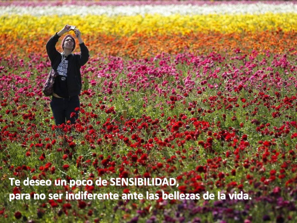 Te deseo un poco de SENSIBILIDAD, para no ser indiferente ante las bellezas de la vida.