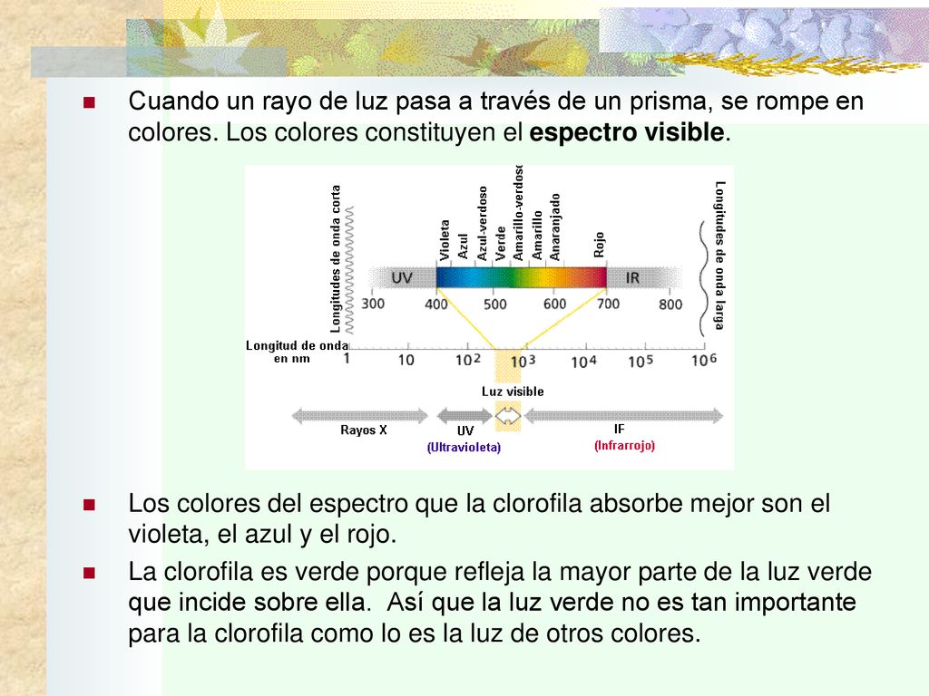 Cuando un rayo de luz pasa a través de un prisma, se rompe en colores
