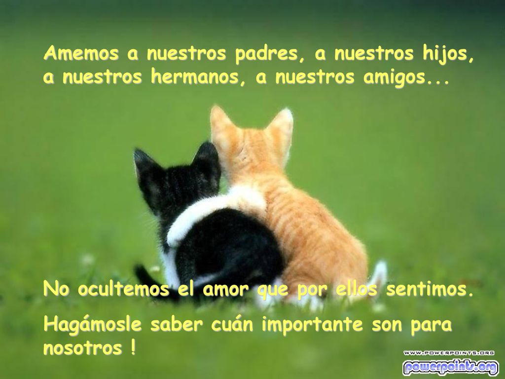 Amemos a nuestros padres, a nuestros hijos, a nuestros hermanos, a nuestros amigos...