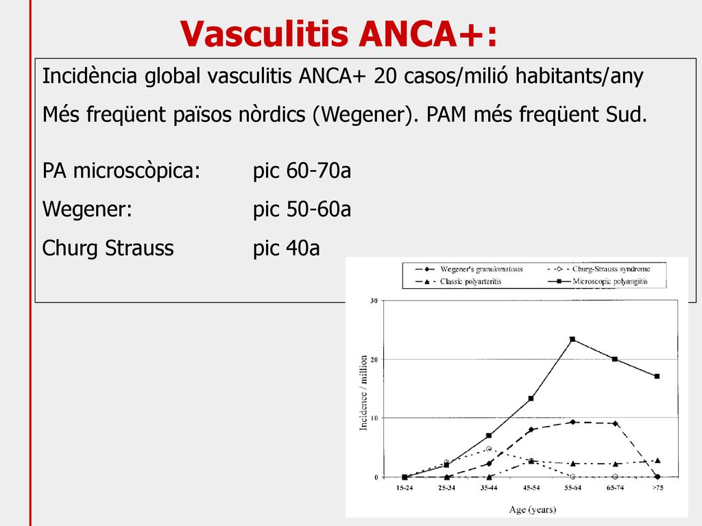 Vasculitis ANCA+: Incidència global vasculitis ANCA+ 20 casos/milió habitants/any. Més freqüent països nòrdics (Wegener). PAM més freqüent Sud.
