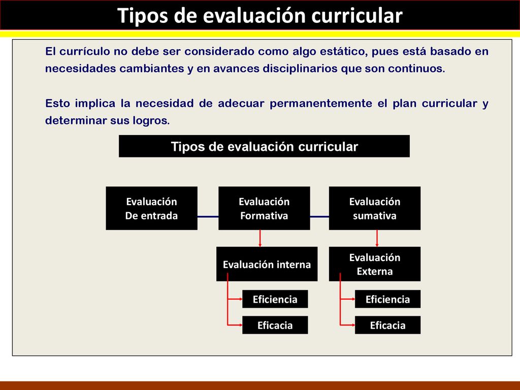 Tipos de evaluación curricular Tipos de evaluación curricular