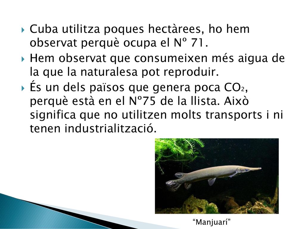 Cuba utilitza poques hectàrees, ho hem observat perquè ocupa el Nº 71.