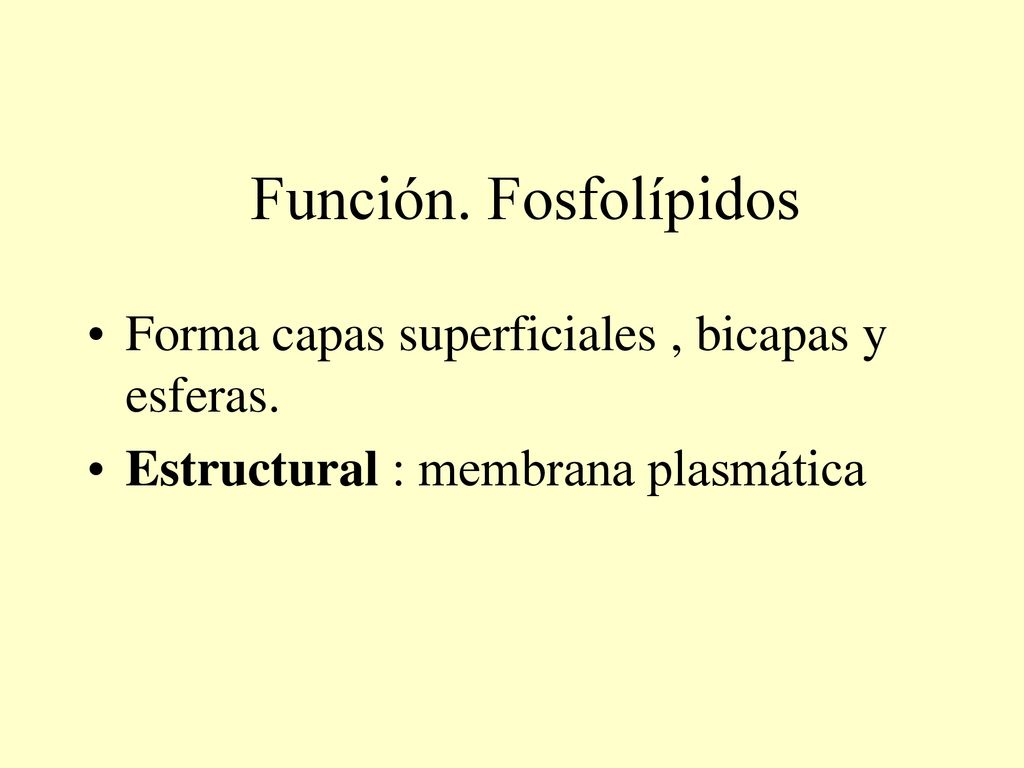 Función. Fosfolípidos Forma capas superficiales , bicapas y esferas.