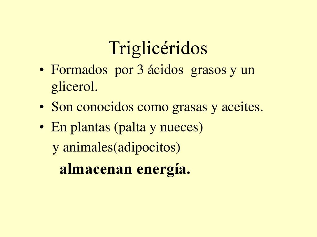 Triglicéridos Formados por 3 ácidos grasos y un glicerol.