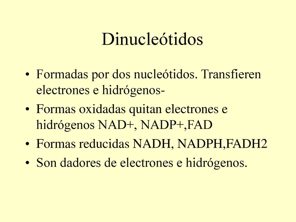 Dinucleótidos Formadas por dos nucleótidos. Transfieren electrones e hidrógenos- Formas oxidadas quitan electrones e hidrógenos NAD+, NADP+,FAD.